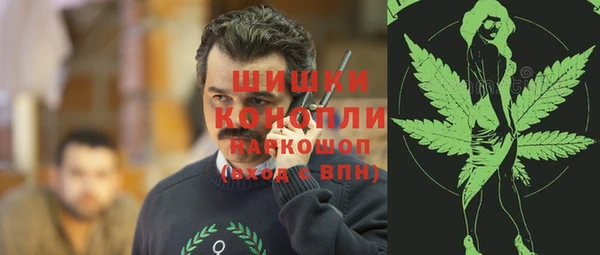 ПСИЛОЦИБИНОВЫЕ ГРИБЫ Инсар