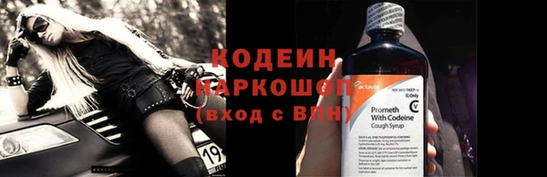ПСИЛОЦИБИНОВЫЕ ГРИБЫ Инсар