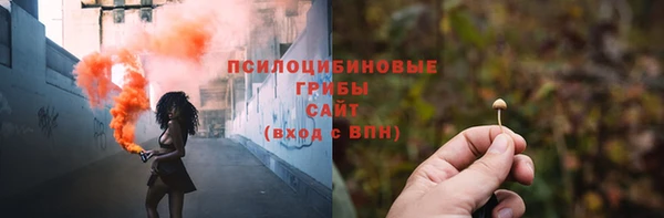 стафф Инта