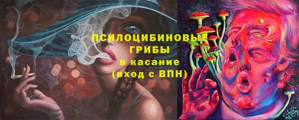 ПСИЛОЦИБИНОВЫЕ ГРИБЫ Инсар