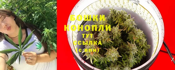 стафф Инта