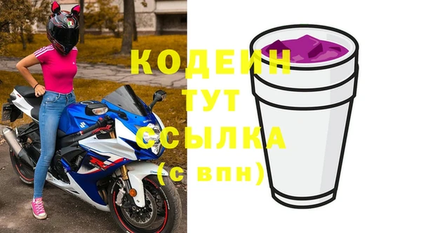 ПСИЛОЦИБИНОВЫЕ ГРИБЫ Инсар