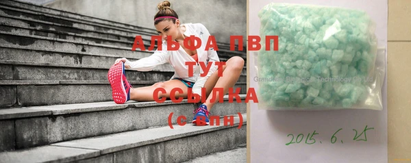 стафф Инта