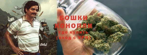 стафф Инта