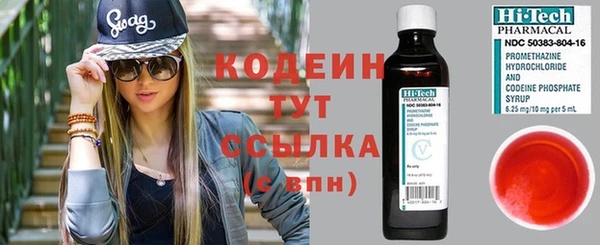 ПСИЛОЦИБИНОВЫЕ ГРИБЫ Инсар